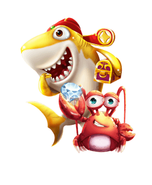 辽宁省庄河市买球官方旗舰店官网